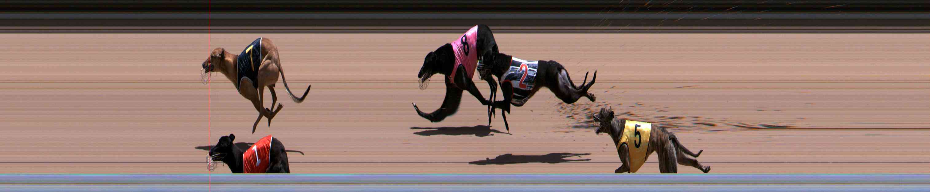 Photo finish for Healesville Race 9
