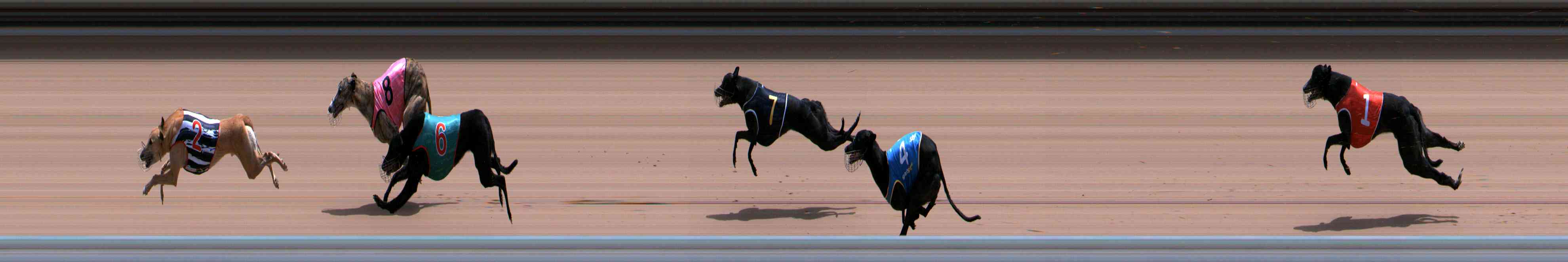 Photo finish for Healesville Race 10