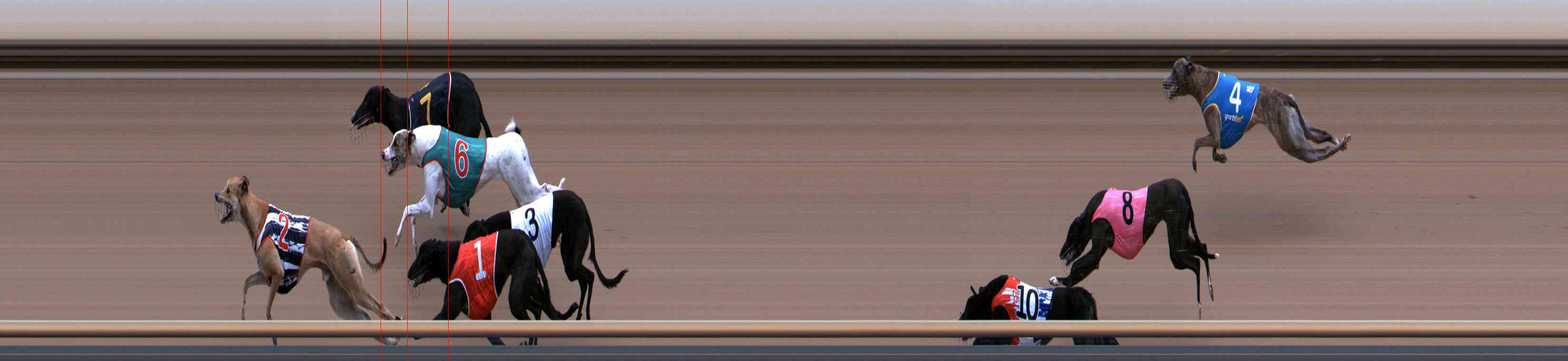 Photo finish for Healesville Race 1