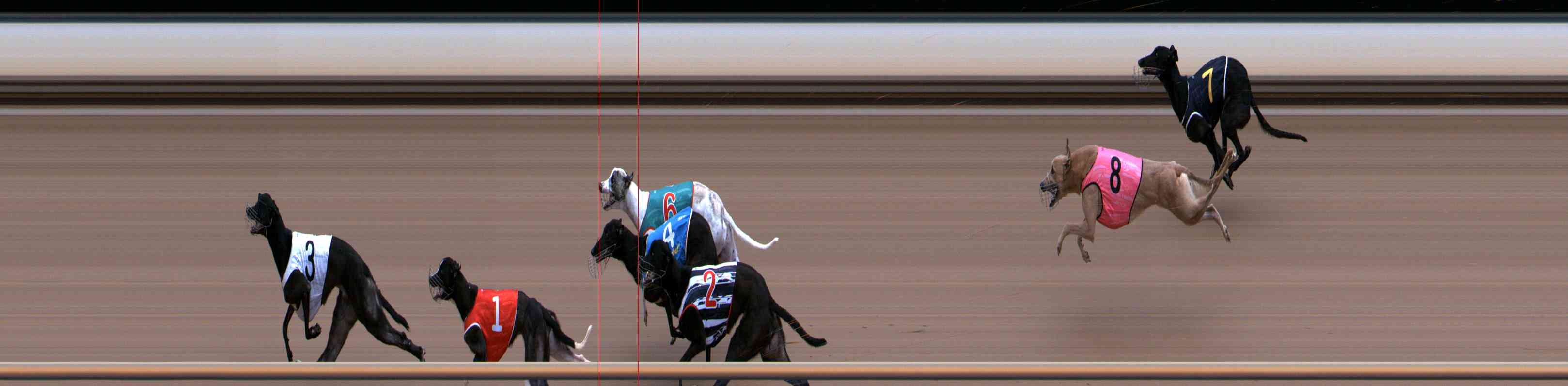 Photo finish for Healesville Race 2