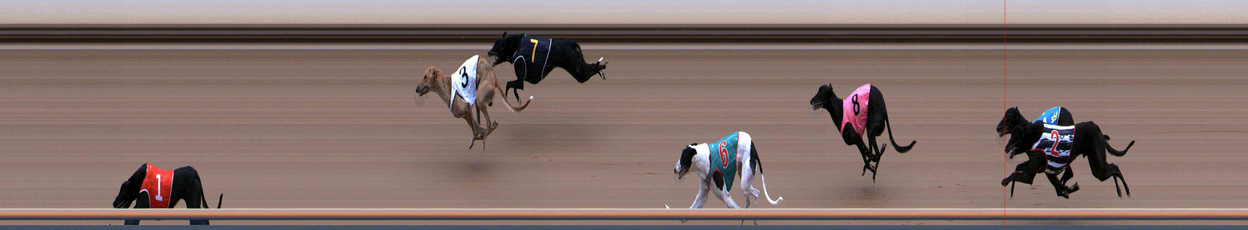 Photo finish for Healesville Race 3