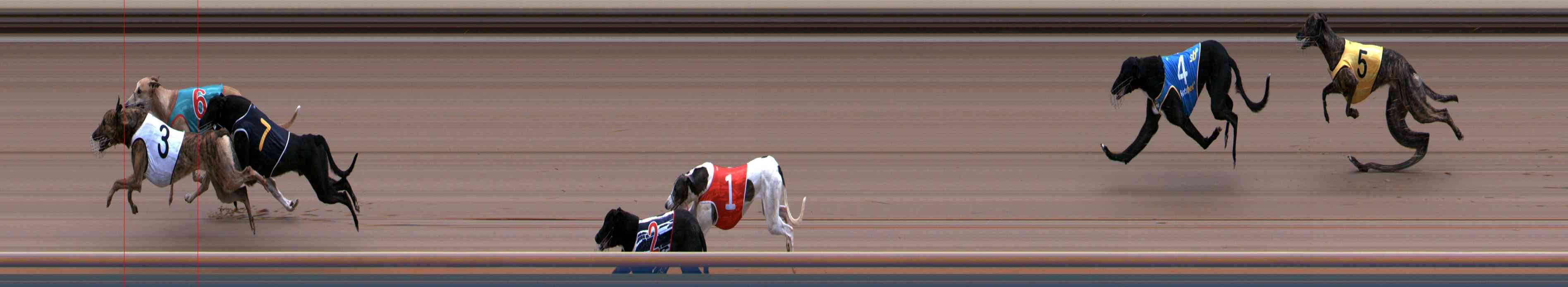 Photo finish for Healesville Race 5