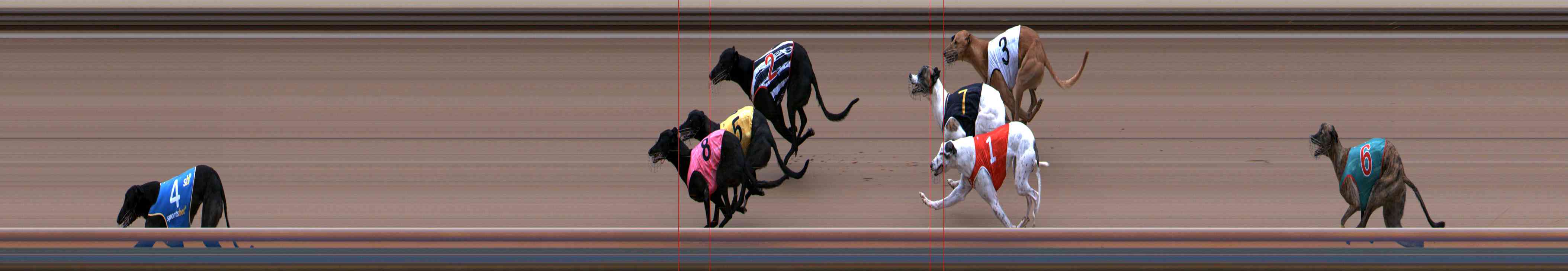 Photo finish for Healesville Race 6