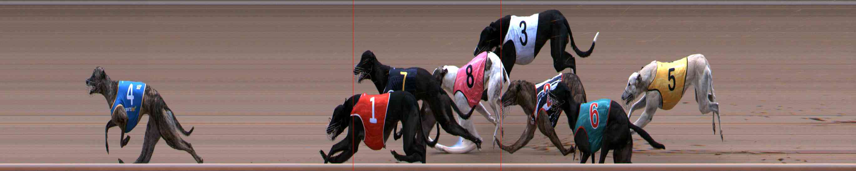 Photo finish for Healesville Race 8