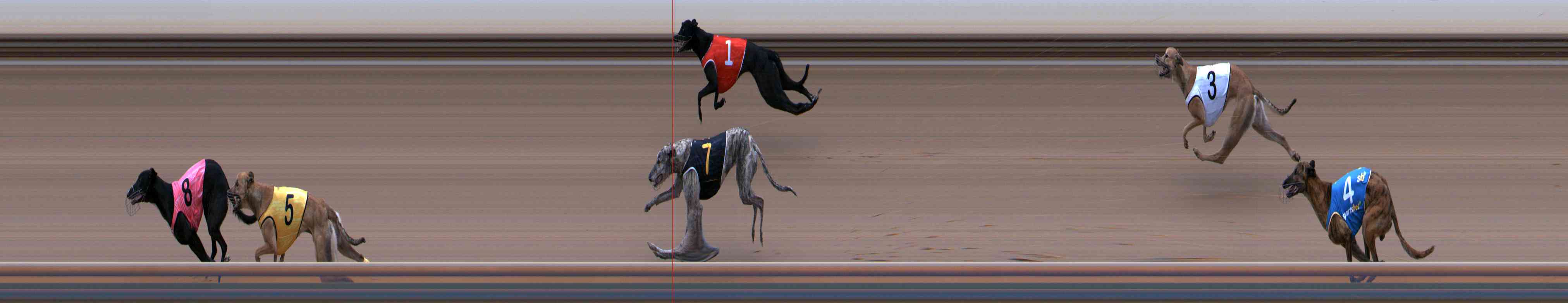 Photo finish for Healesville Race 11
