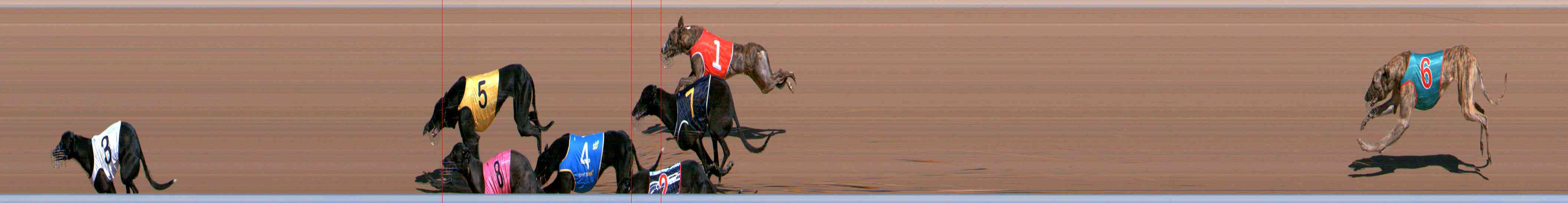 Photo finish for Healesville Race 1