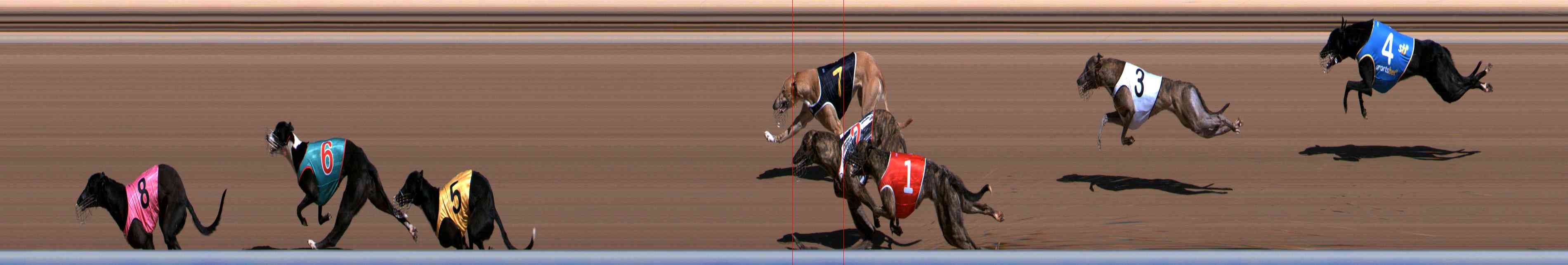 Photo finish for Healesville Race 2