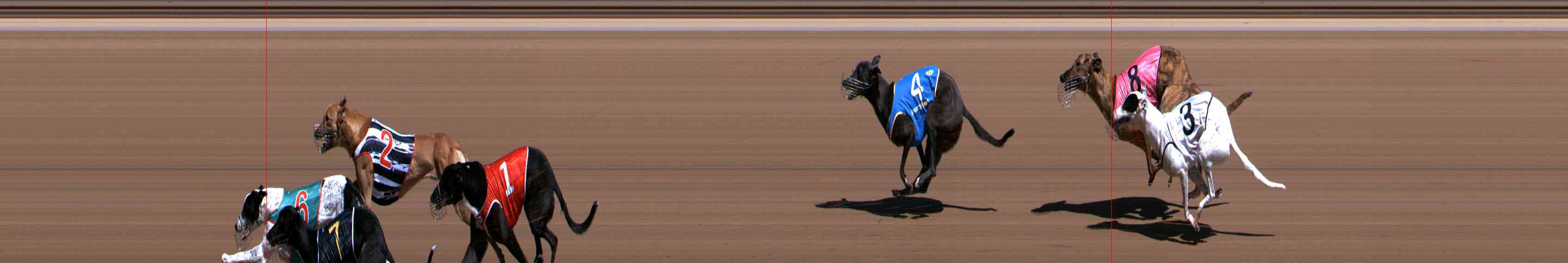 Photo finish for Healesville Race 3