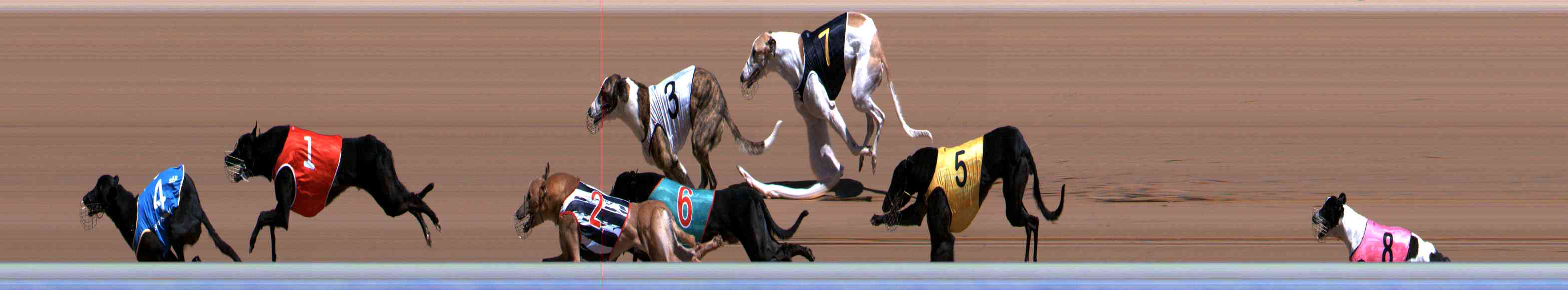 Photo finish for Healesville Race 5