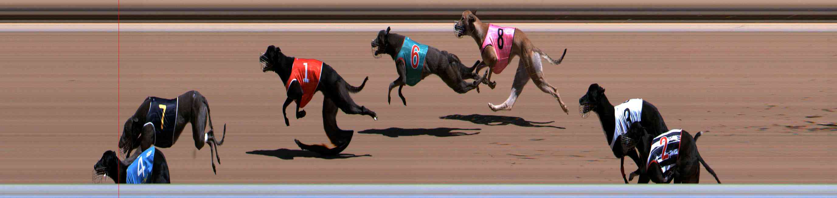 Photo finish for Healesville Race 6