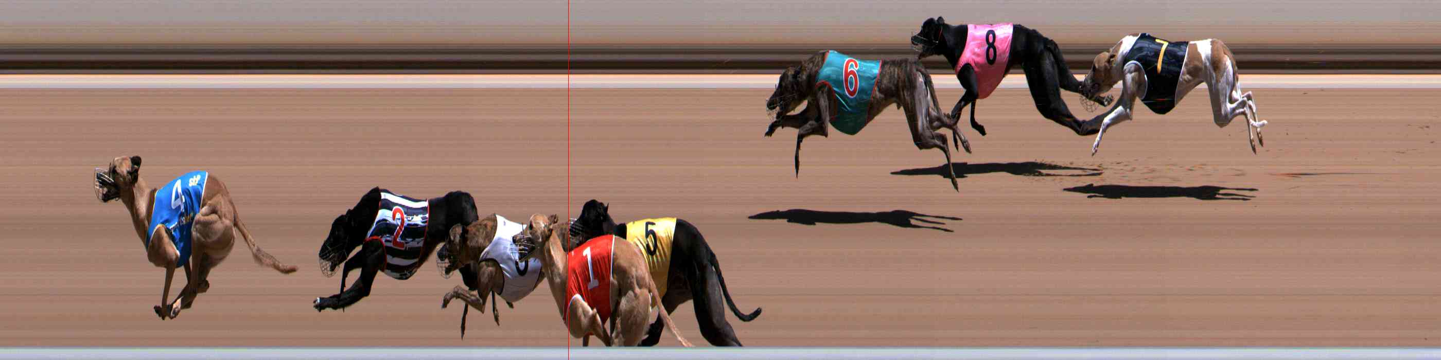 Photo finish for Healesville Race 7