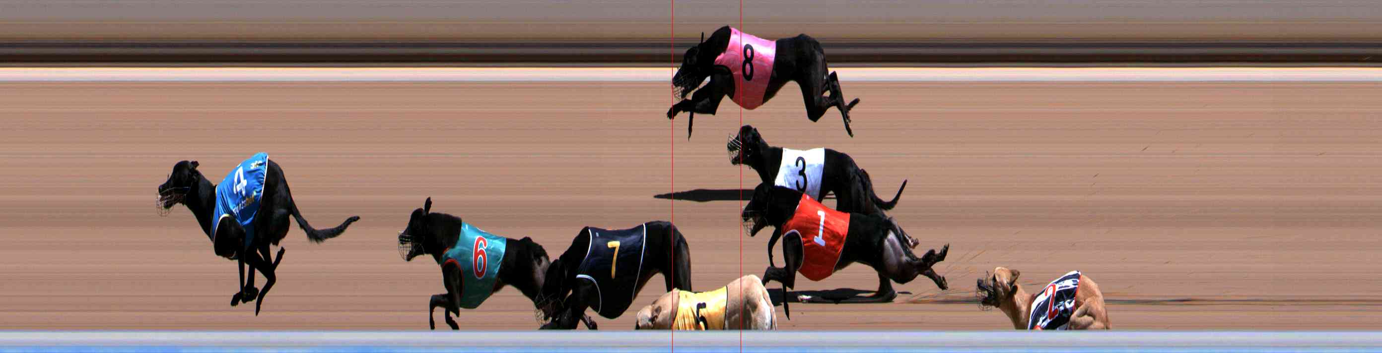 Photo finish for Healesville Race 8