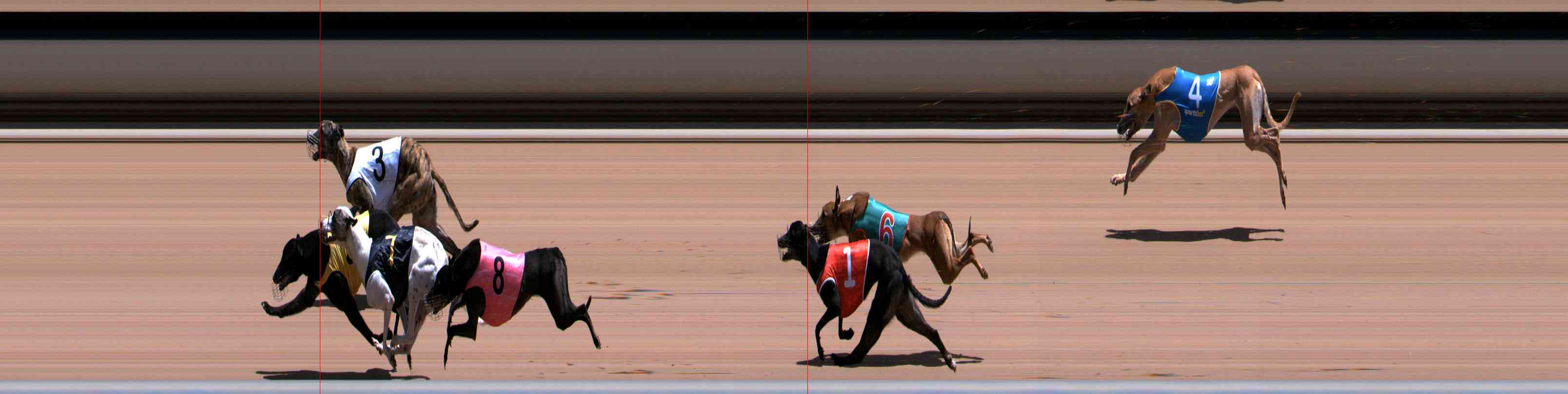 Photo finish for Healesville Race 10