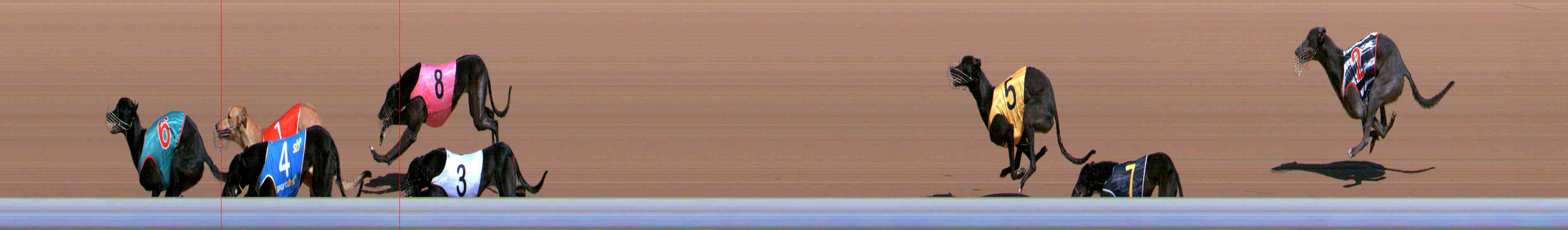 Photo finish for Healesville Race 1