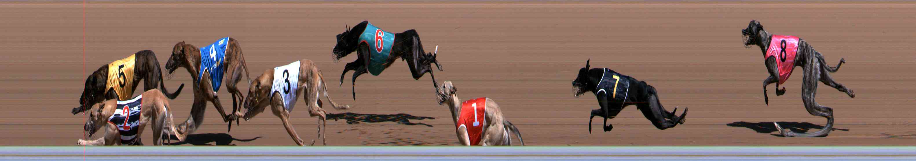 Photo finish for Healesville Race 3