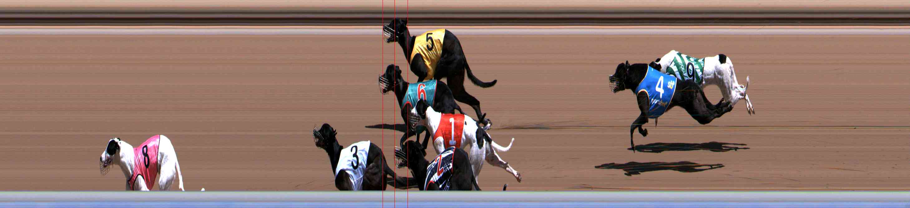 Photo finish for Healesville Race 4