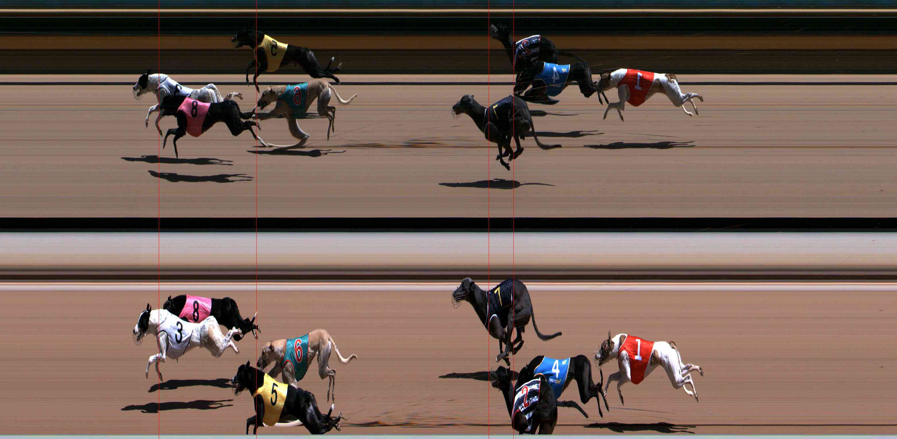 Photo finish for Healesville Race 5