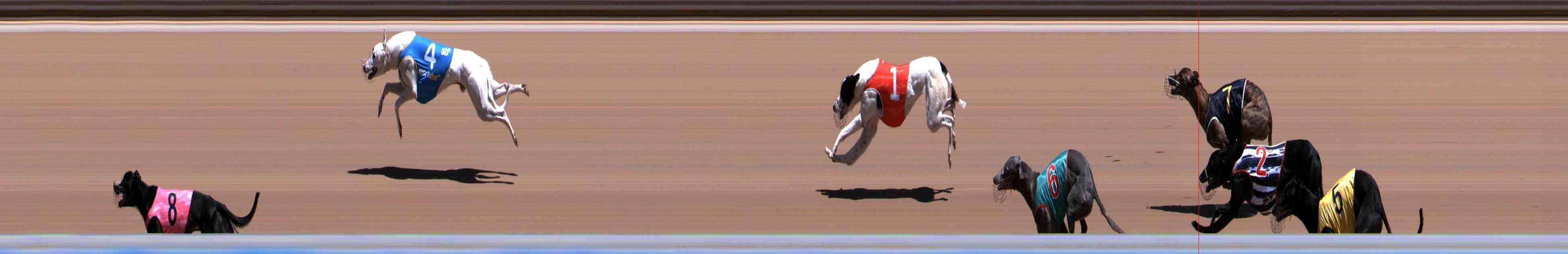 Photo finish for Healesville Race 7