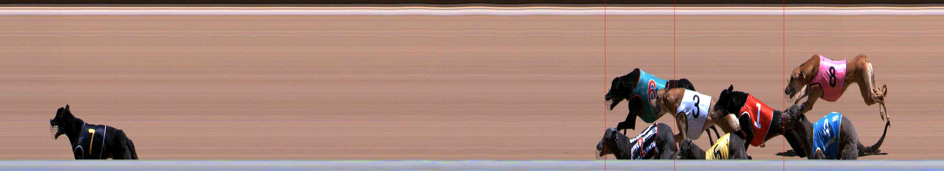Photo finish for Healesville Race 8