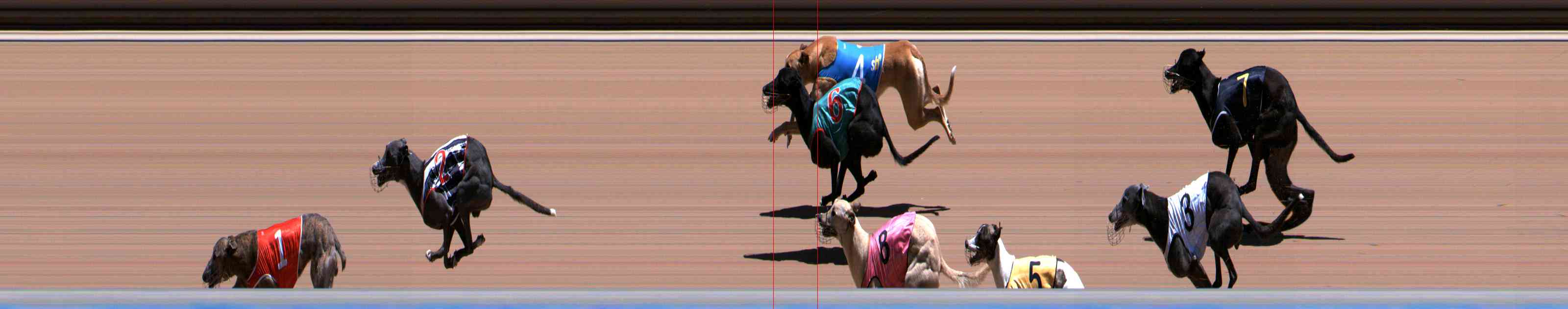 Photo finish for Healesville Race 9