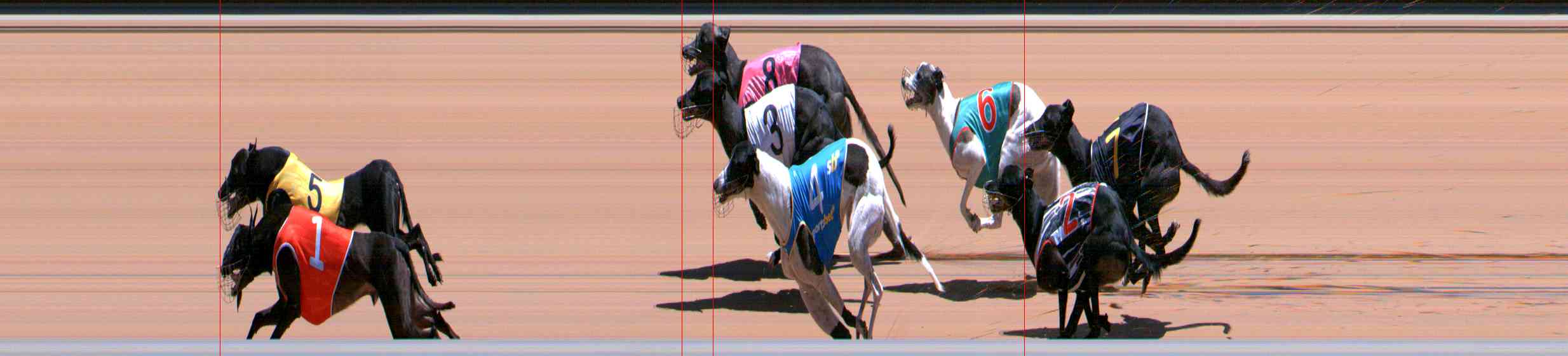 Photo finish for Healesville Race 10