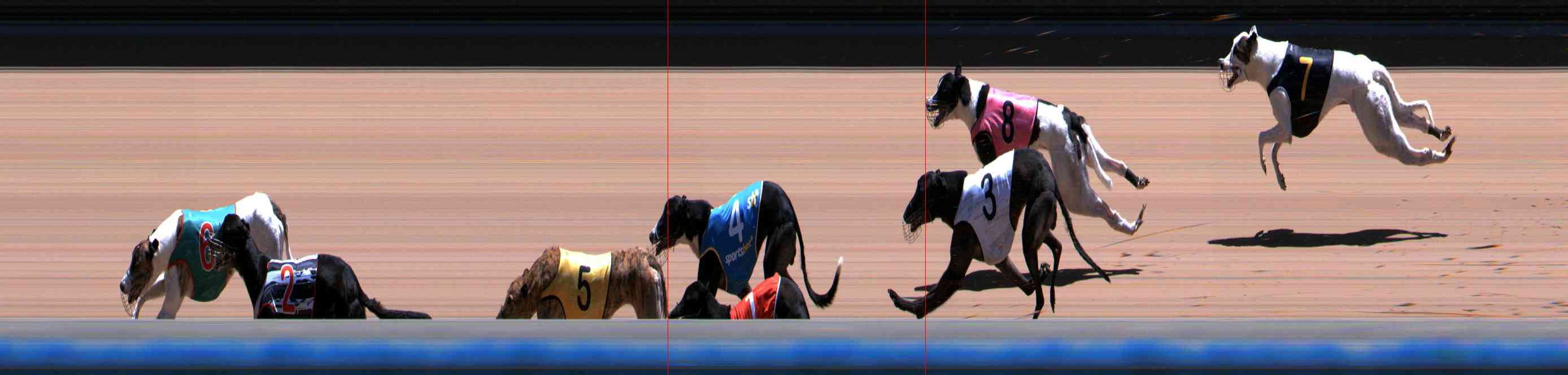 Photo finish for Healesville Race 12