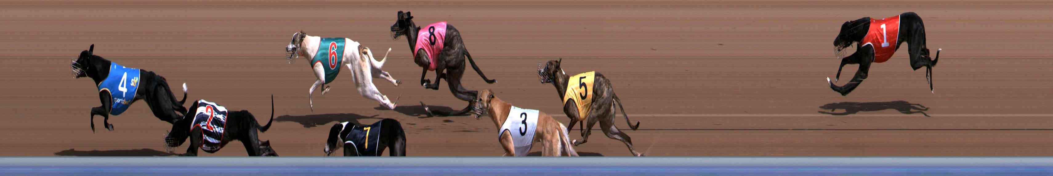 Photo finish for Healesville Race 1
