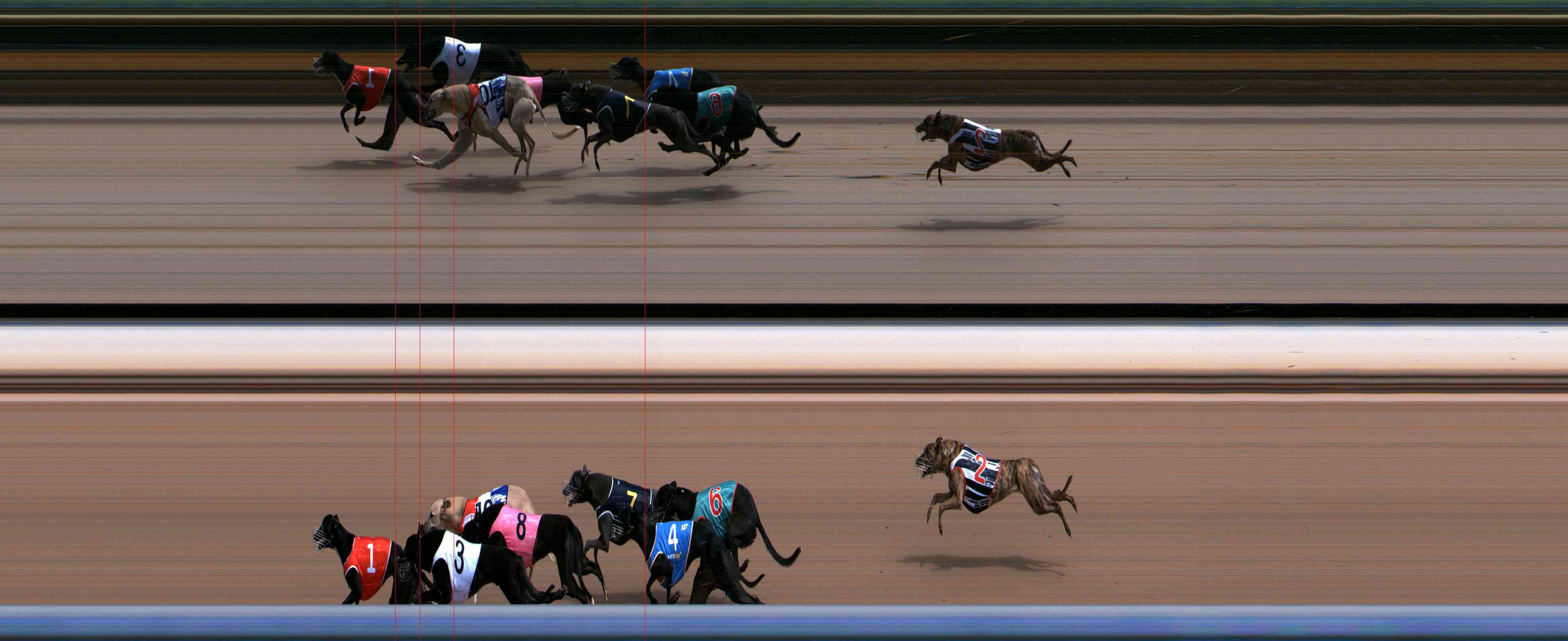 Photo finish for Healesville Race 2