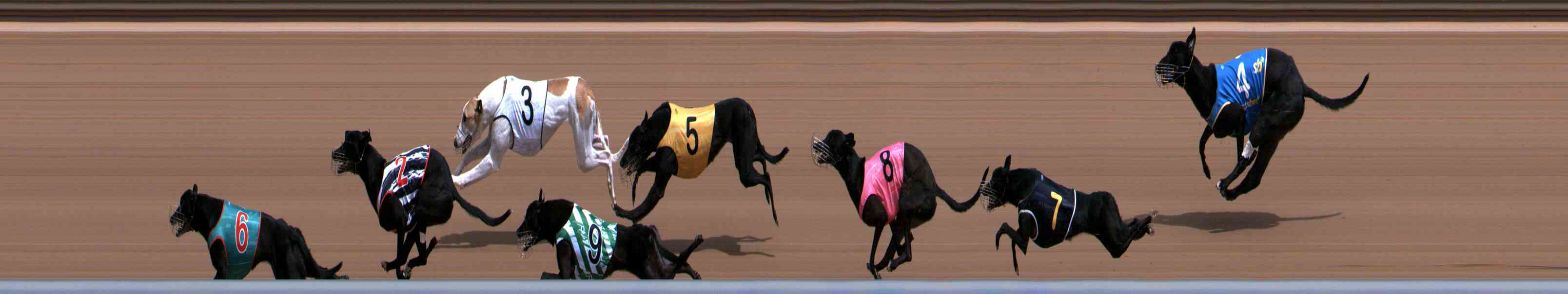Photo finish for Healesville Race 3