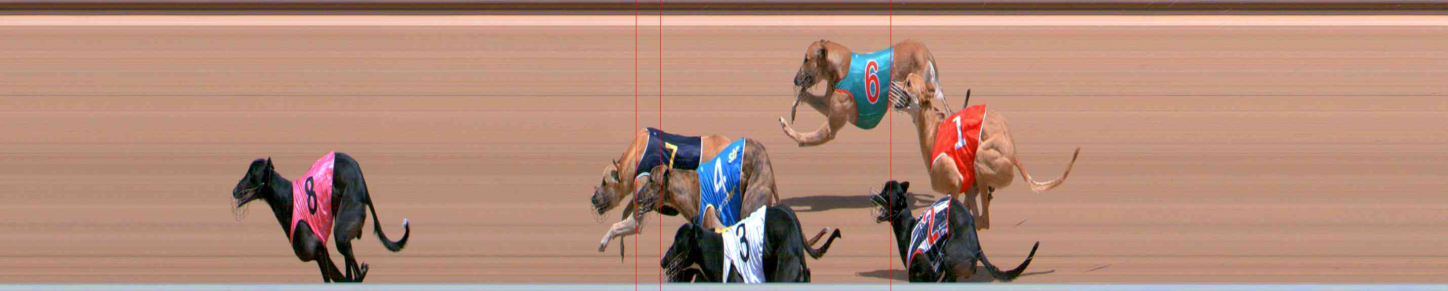 Photo finish for Healesville Race 4
