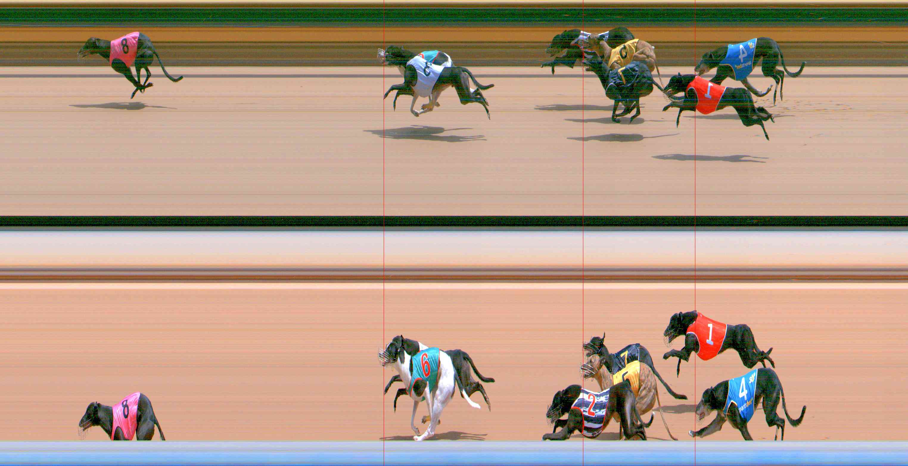 Photo finish for Healesville Race 5
