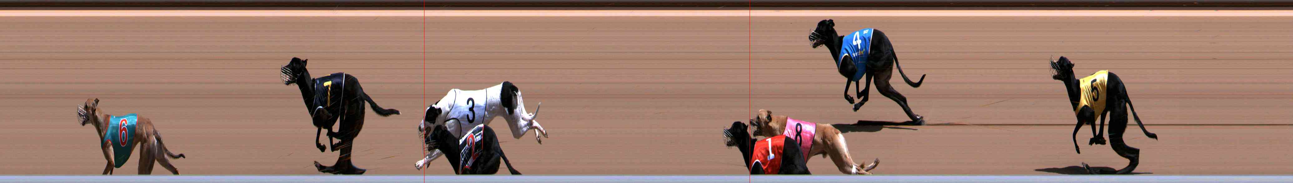 Photo finish for Healesville Race 6