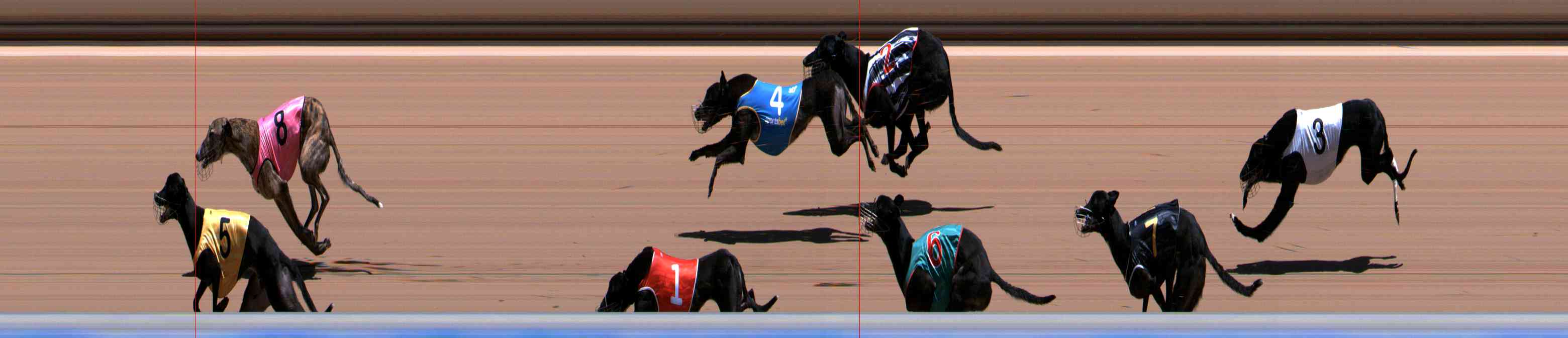 Photo finish for Healesville Race 7