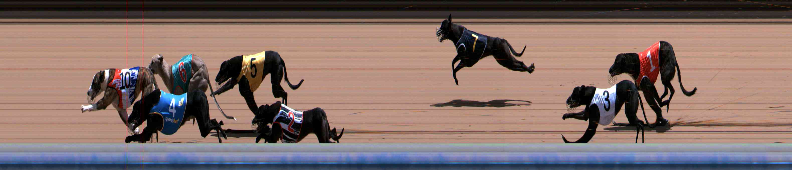 Photo finish for Healesville Race 9