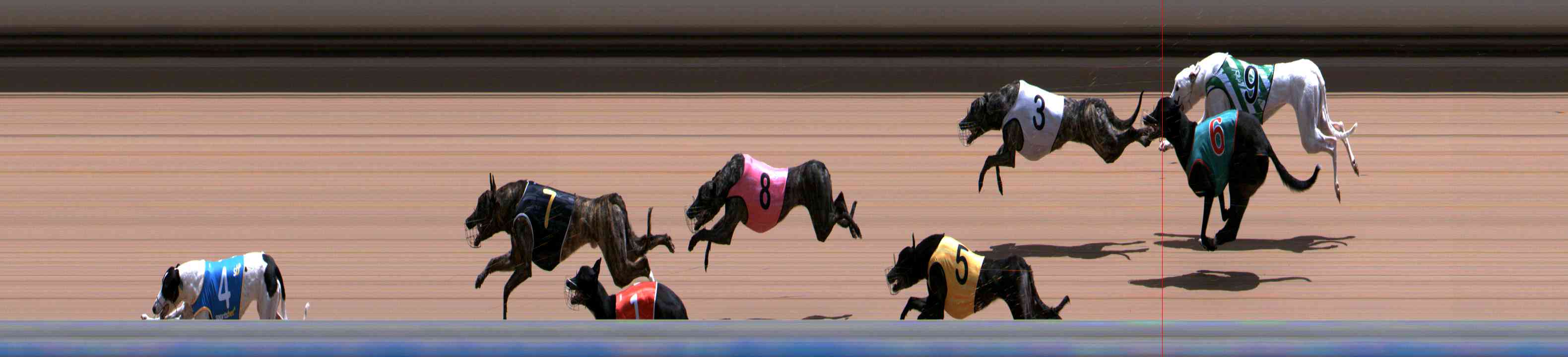 Photo finish for Healesville Race 10