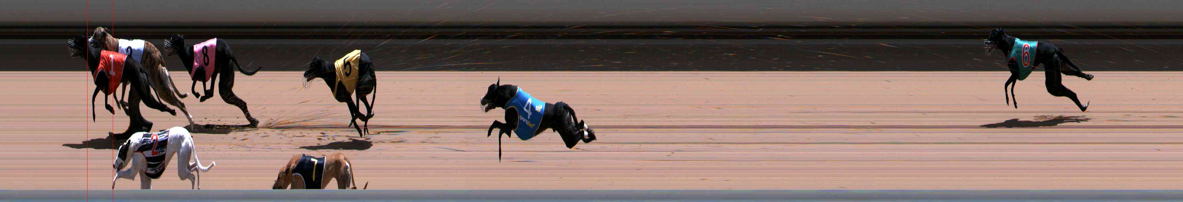 Photo finish for Healesville Race 11