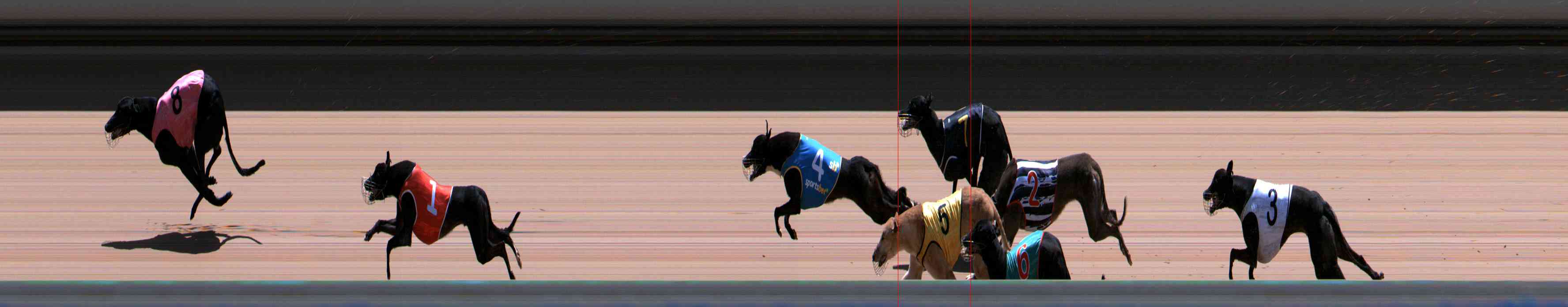 Photo finish for Healesville Race 12