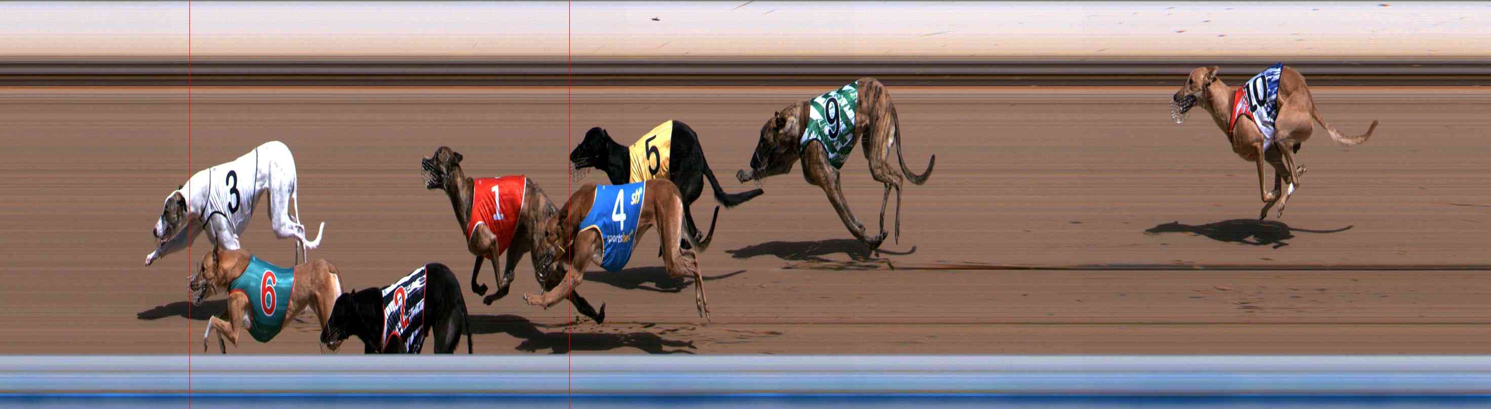 Photo finish for Healesville Race 1