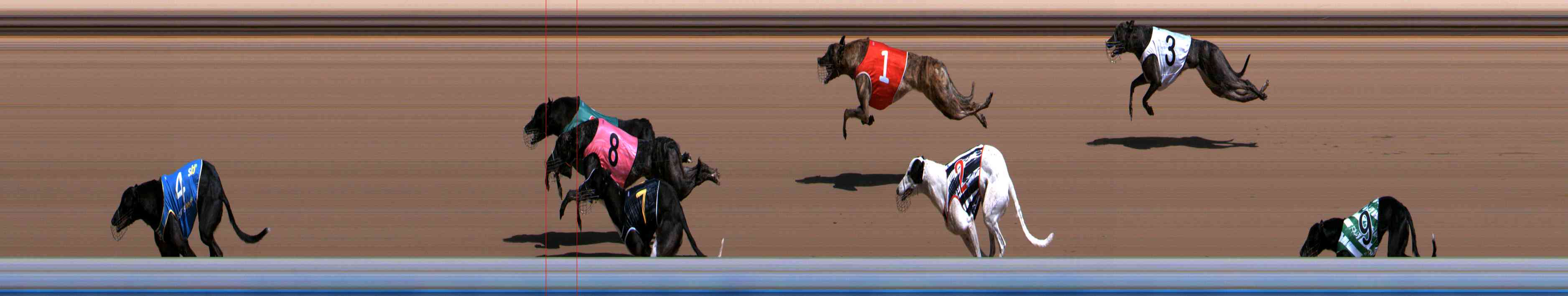 Photo finish for Healesville Race 2