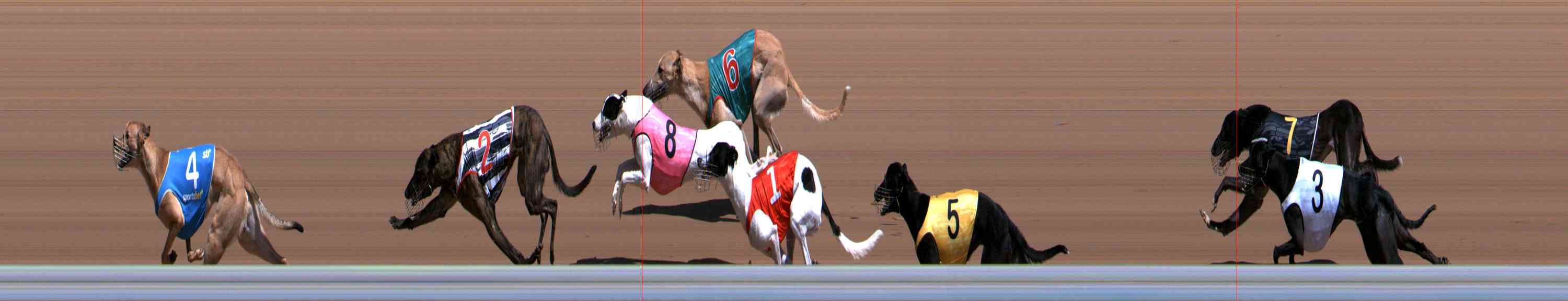 Photo finish for Healesville Race 3