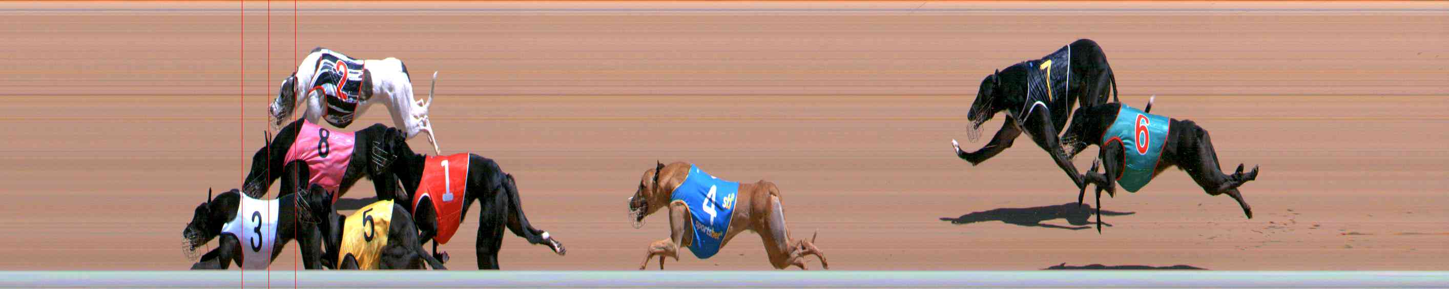 Photo finish for Healesville Race 4