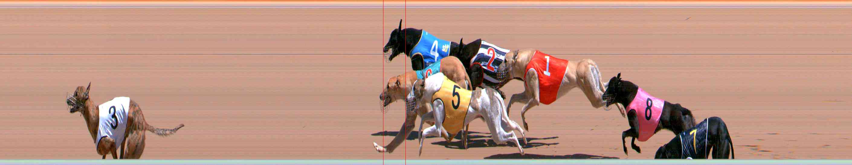 Photo finish for Healesville Race 6