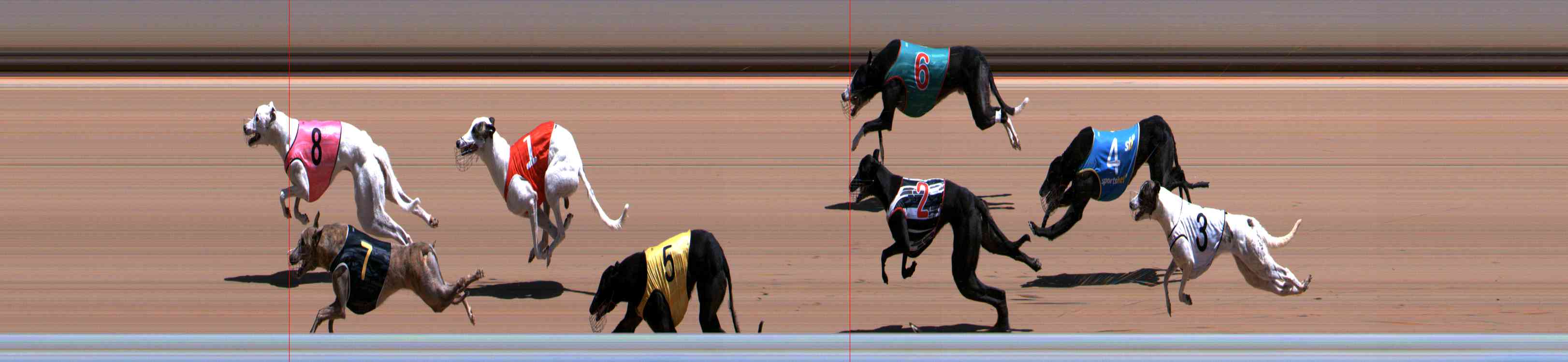 Photo finish for Healesville Race 7