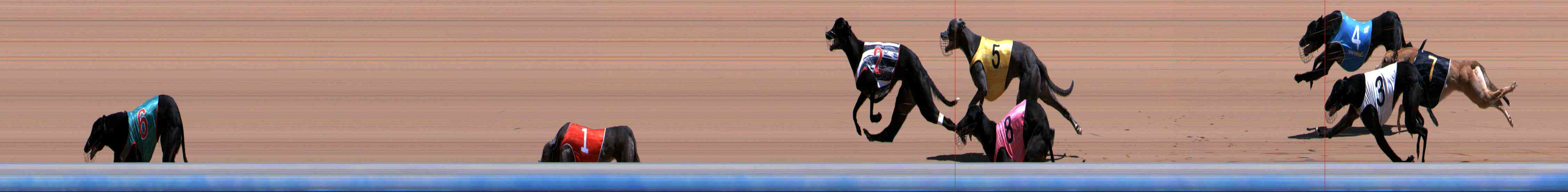 Photo finish for Healesville Race 8
