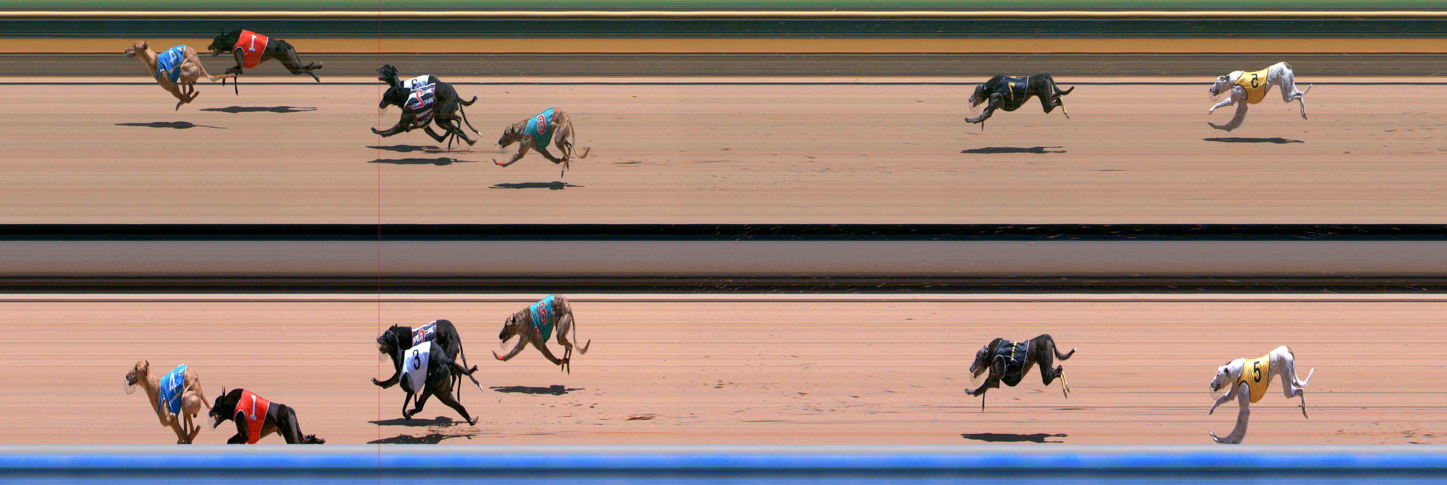 Photo finish for Healesville Race 9
