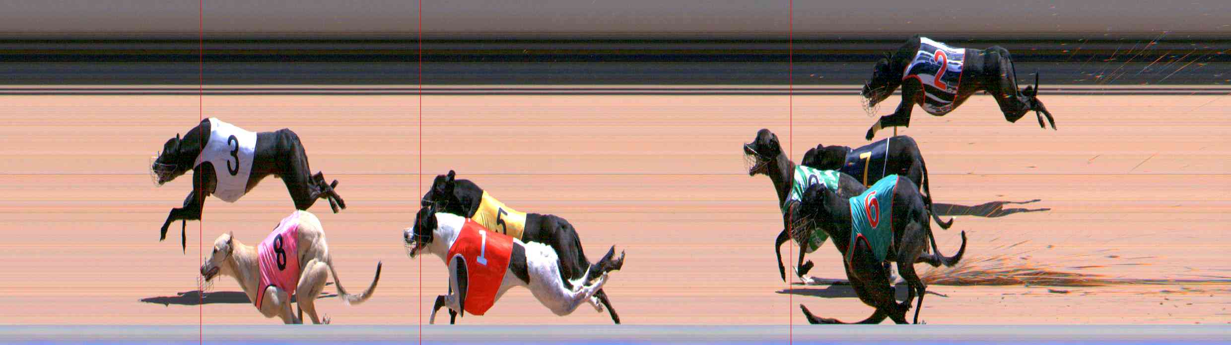 Photo finish for Healesville Race 10
