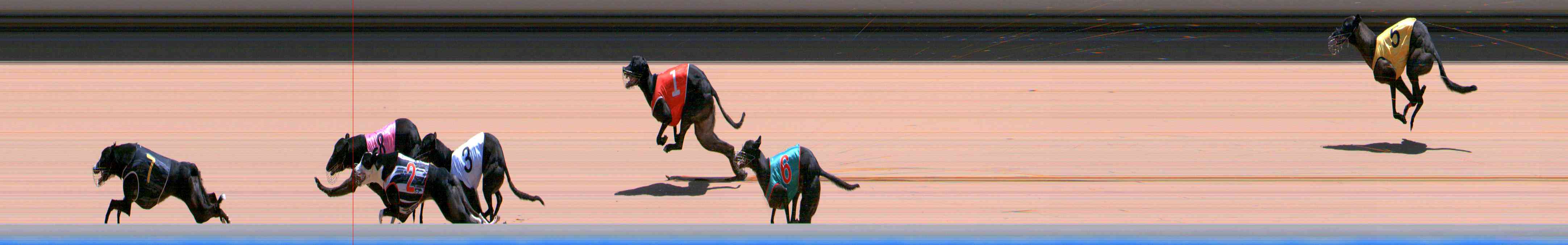 Photo finish for Healesville Race 11