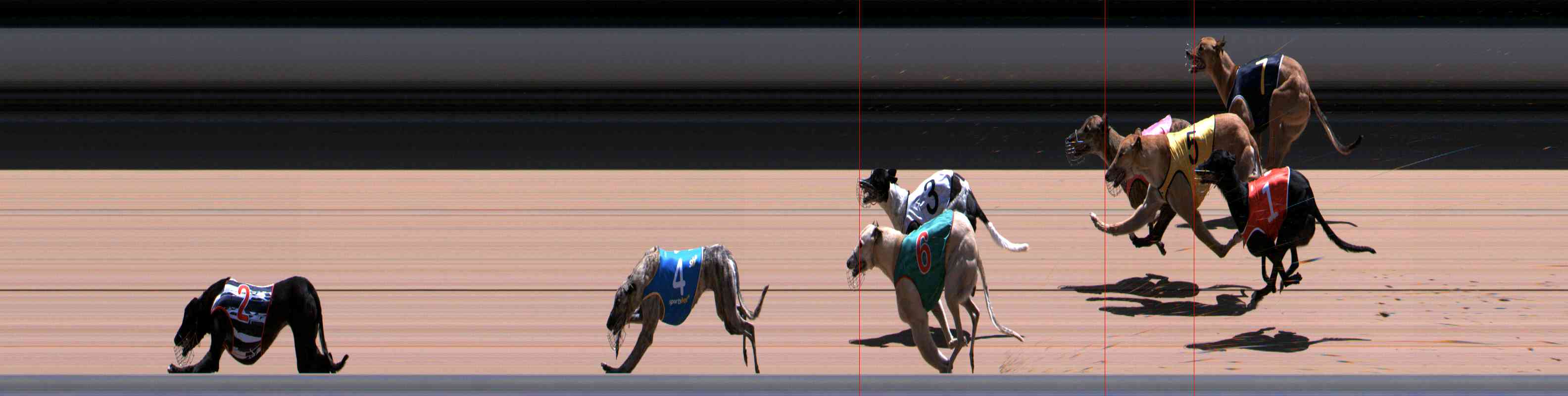 Photo finish for Healesville Race 12
