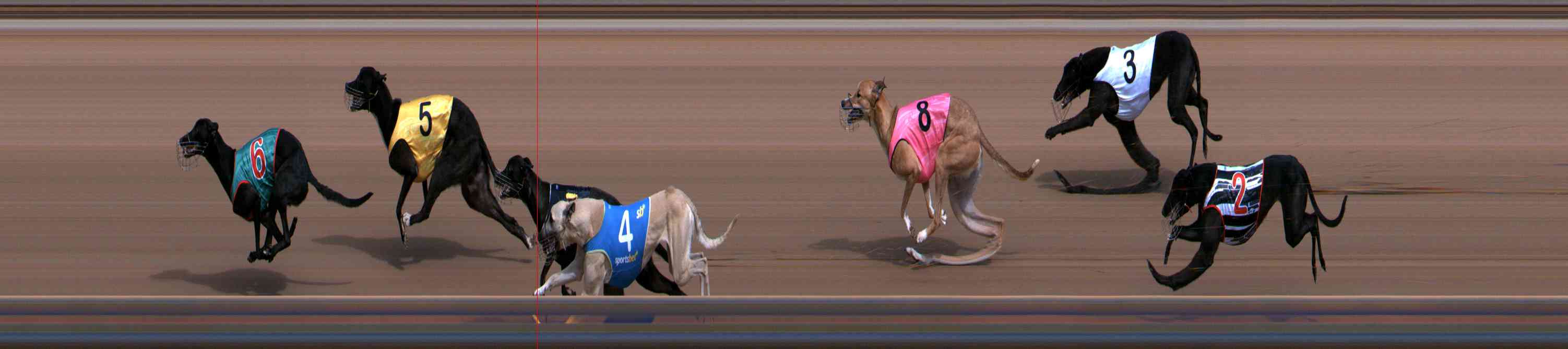 Photo finish for Healesville Race 1