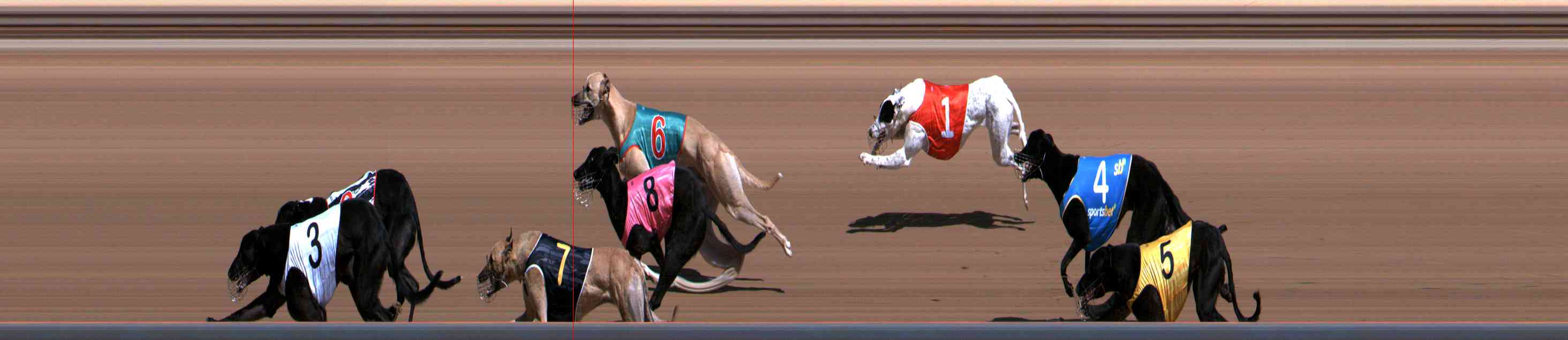 Photo finish for Healesville Race 2